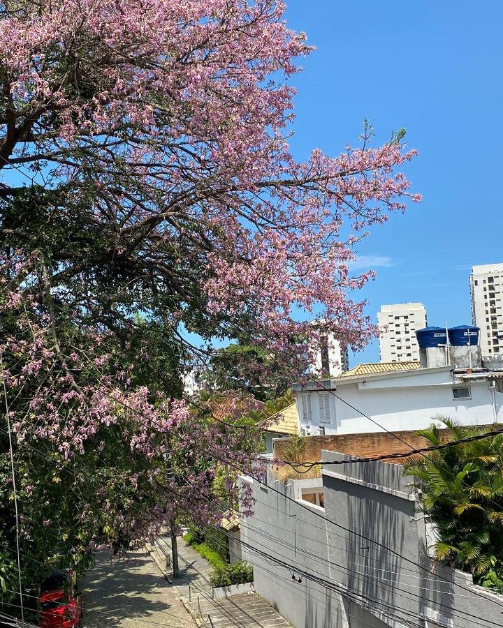 Casa Zona Sul Leilighet Rio de Janeiro Eksteriør bilde
